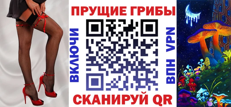 цена   Лесозаводск  Псилоцибиновые грибы Psilocybine cubensis 